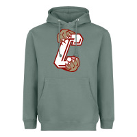 Sage charleston cougars Heavyweight Hoodie - linhVisuals