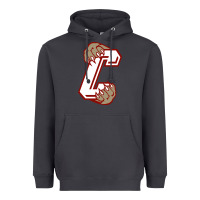 Charleston Cougars Heavyweight Hoodie | Teevron