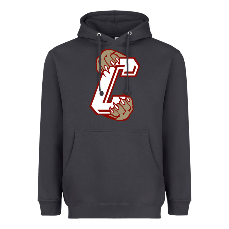 Charleston Cougars Heavyweight Hoodie by linhVisuals | Teevron