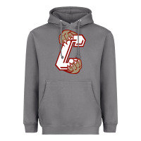 Storm charleston cougars Heavyweight Hoodie - linhVisuals