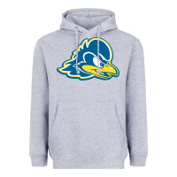 Heather Grey delaware blue hens Heavyweight Hoodie - linhVisuals