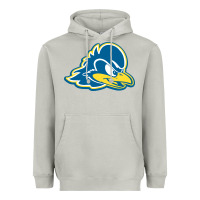 Moon Dust delaware blue hens Heavyweight Hoodie - linhVisuals