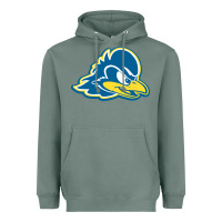 Sage delaware blue hens Heavyweight Hoodie - linhVisuals