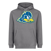 Storm delaware blue hens Heavyweight Hoodie - linhVisuals