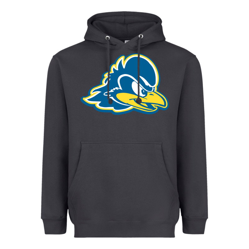 Delaware Blue Hens Heavyweight Hoodie by linhVisuals | Teevron