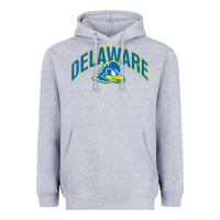 Heather Grey delaware blue hens Heavyweight Hoodie - linhVisuals