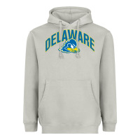 Moon Dust delaware blue hens Heavyweight Hoodie - linhVisuals
