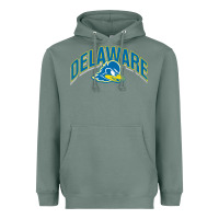 Sage delaware blue hens Heavyweight Hoodie - linhVisuals