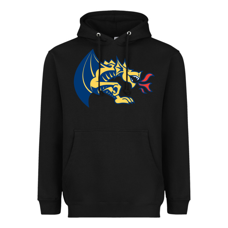 Drexel Dragons Heavyweight Hoodie by linhVisuals | Teevron