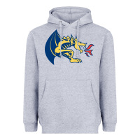 Heather Grey drexel dragons Heavyweight Hoodie - linhVisuals