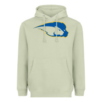 Matcha hofstra pride Heavyweight Hoodie - linhVisuals