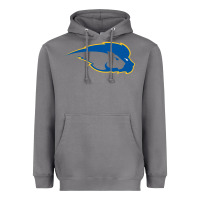 Storm hofstra pride Heavyweight Hoodie - linhVisuals