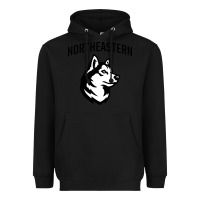 Black northeastern huskies Heavyweight Hoodie - linhVisuals