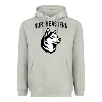 Moon Dust northeastern huskies Heavyweight Hoodie - linhVisuals