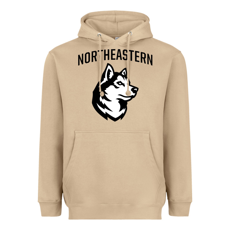 Northeastern Huskies Heavyweight Hoodie by linhVisuals | Teevron