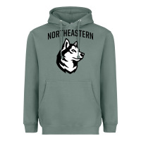Sage northeastern huskies Heavyweight Hoodie - linhVisuals