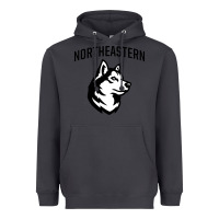 Smoke northeastern huskies Heavyweight Hoodie - linhVisuals