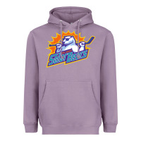 Orlando Solar Bears Heavyweight Hoodie | Teevron
