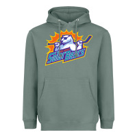 Sage orlando solar bears Heavyweight Hoodie - linhVisuals