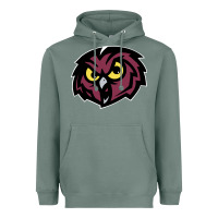 Sage temple owls Heavyweight Hoodie - linhVisuals