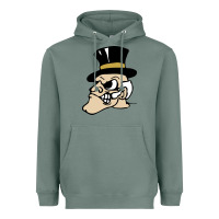 Sage wake forest demon deacons Heavyweight Hoodie - linhVisuals