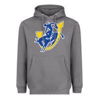 Storm southern arkansas magnolia Heavyweight Hoodie - linhVisuals