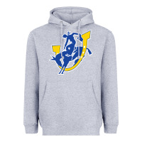 Heather Grey southern arkansas magnolia Heavyweight Hoodie - linhVisuals