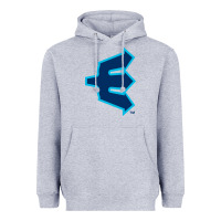 Heather Grey everett aquasox Heavyweight Hoodie - linhVisuals