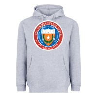 Heather Grey university of texas at arlington seal Heavyweight Hoodie - linhVisuals