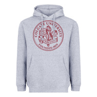 Heather Grey colgate university seal Heavyweight Hoodie - linhVisuals
