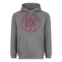 Storm colgate university seal Heavyweight Hoodie - linhVisuals