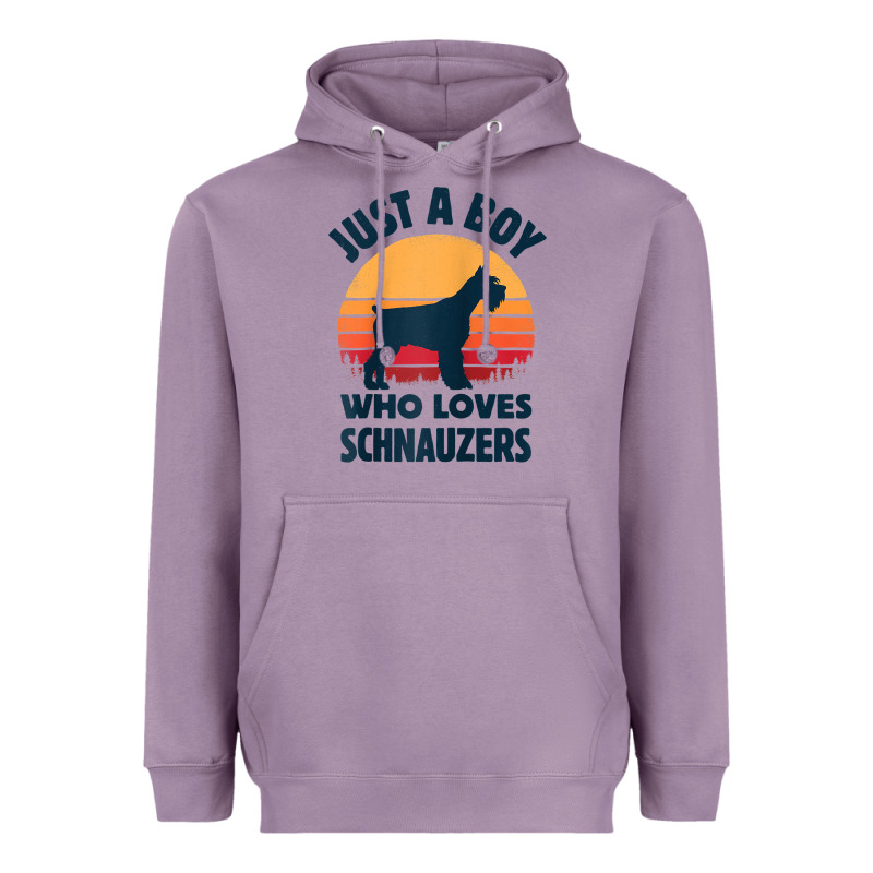 Schnauzer Just A Boy Who Loves Dogs Men Retro Vintage Sunset Raglan Ba Heavyweight Hoodie by linhVisuals | Teevron