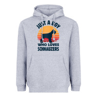 Heather Grey schnauzer just a boy who loves dogs men retro vintage sunset raglan ba Heavyweight Hoodie - linhVisuals
