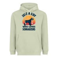 Matcha schnauzer just a boy who loves dogs men retro vintage sunset raglan ba Heavyweight Hoodie - linhVisuals
