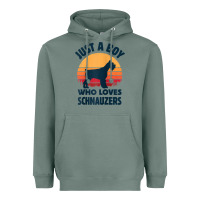 Sage schnauzer just a boy who loves dogs men retro vintage sunset raglan ba Heavyweight Hoodie - linhVisuals