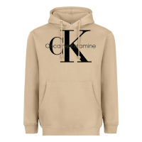 Mushroom newcocaine & ketamine ck Heavyweight Hoodie - linhVisuals