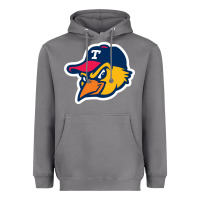 Storm toledo-mud-hens Heavyweight Hoodie - linhVisuals