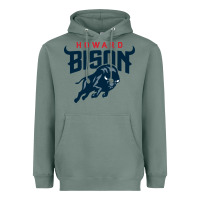 Sage howard bison Heavyweight Hoodie - linhVisuals
