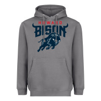 Storm howard bison Heavyweight Hoodie - linhVisuals