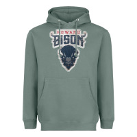 Sage howard bison Heavyweight Hoodie - linhVisuals