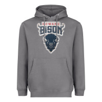 Storm howard bison Heavyweight Hoodie - linhVisuals