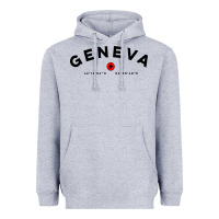 Heather Grey geneva switzerland clothing gifts and souvenirs Heavyweight Hoodie - linhVisuals