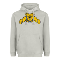 North Carolina A&t Aggies Heavyweight Hoodie | Teevron