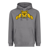 Storm north carolina a&t aggies Heavyweight Hoodie - linhVisuals