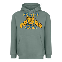 North Carolina A&t Aggies Heavyweight Hoodie | Teevron