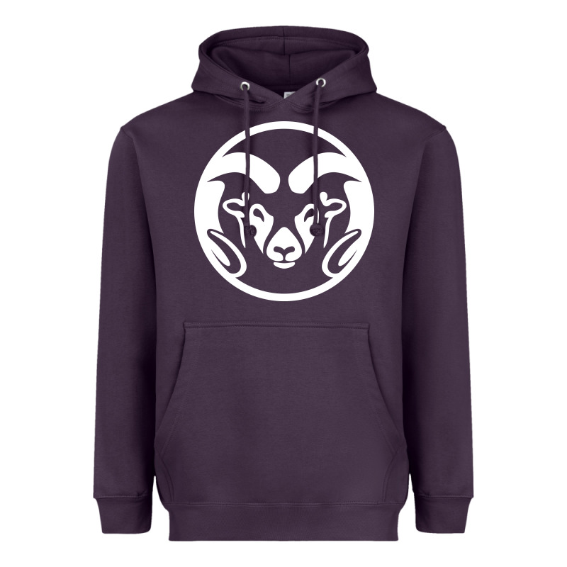 Colorado State Rams Heavyweight Hoodie by linhVisuals | Teevron