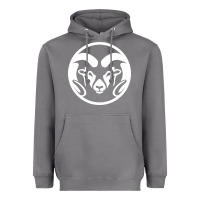 Storm colorado state rams Heavyweight Hoodie - linhVisuals