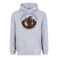 Heather Grey university of wyoming cowboys Heavyweight Hoodie - linhVisuals
