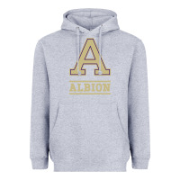 Heather Grey albion college athleticpurple Heavyweight Hoodie - linhVisuals