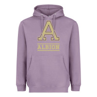 Lavender albion college athleticpurple Heavyweight Hoodie - linhVisuals